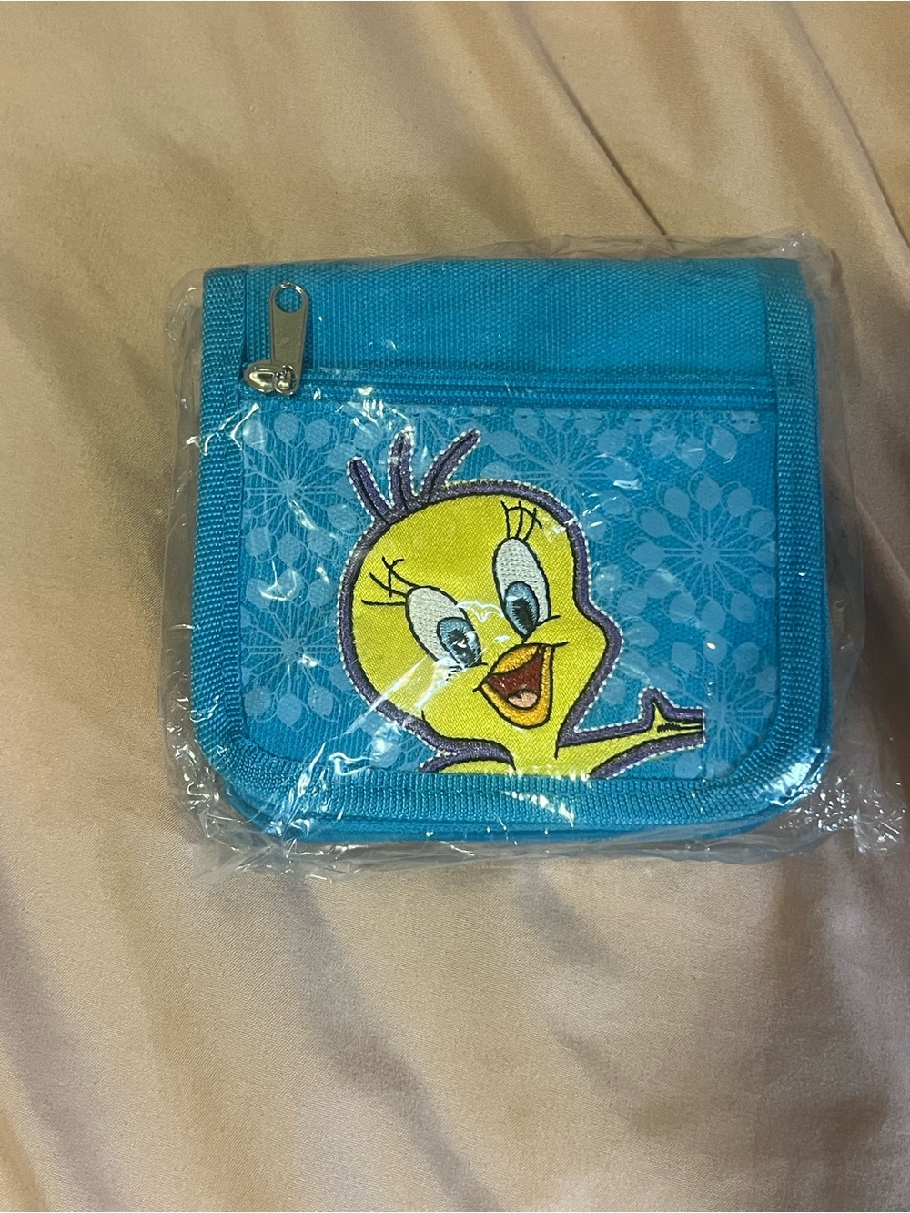 Warner Bros. Tweety Blue Kids Coin Wallet with Zipper